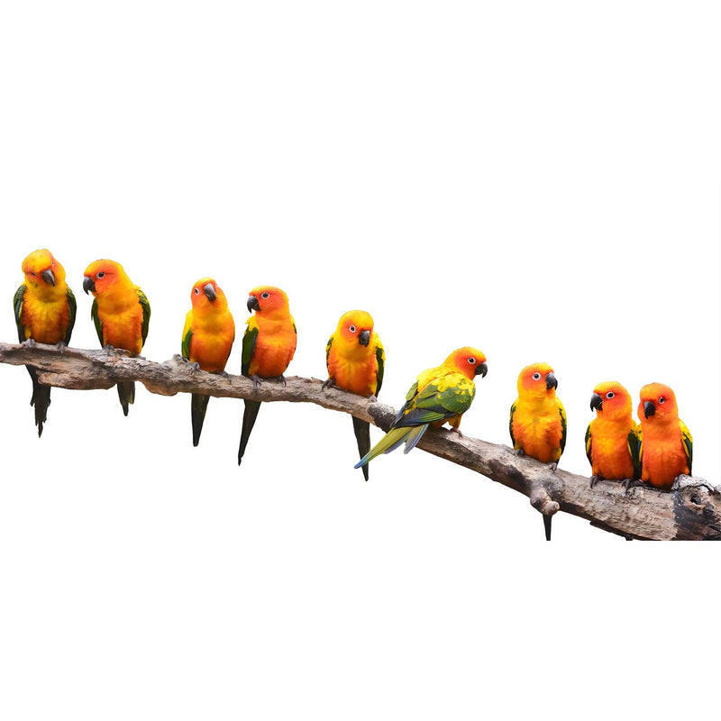 Twitter